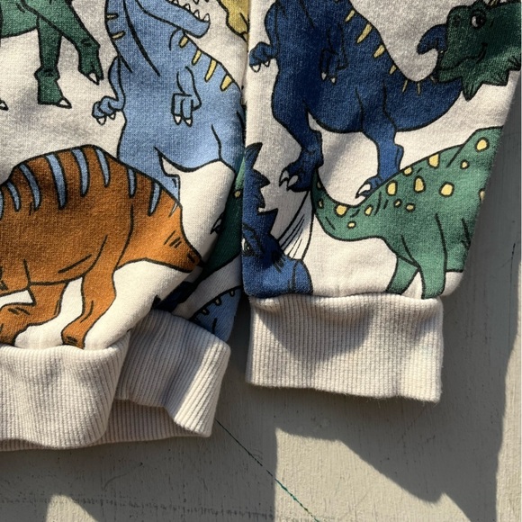 Kid's H&M Sweatshirt Multicolor Dinosaur Print 6X/7 Boy's Prehistoric Colorblock - Picture 6 of 12